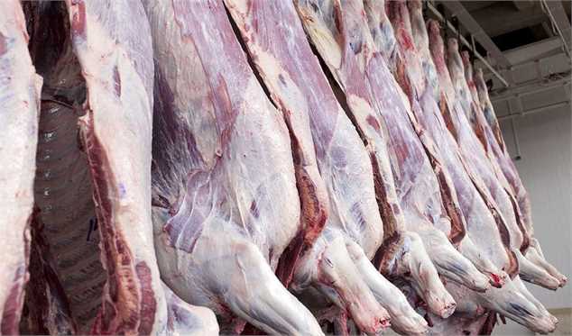 افزایش نرخ خرید حمایتی گوشت قرمز از دامداران/ تا پایان سال افزیش قیمت برای مصرف‌کننده نخواهیم داشت
